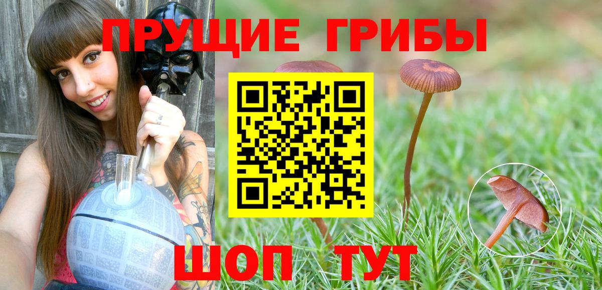 Кубинка  Галлюциногенные грибы Psilocybine cubensis  Вход с VPN 